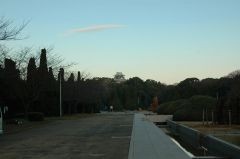 254166_3613597120s